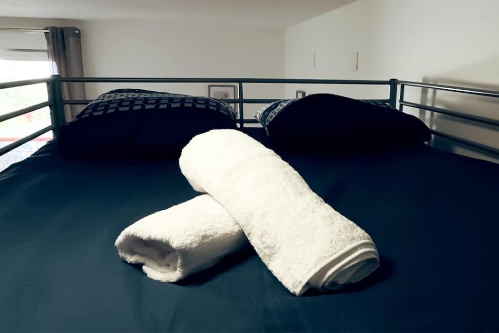 Chaleureux Et Cosy Proche Gare Massy (Essonne)